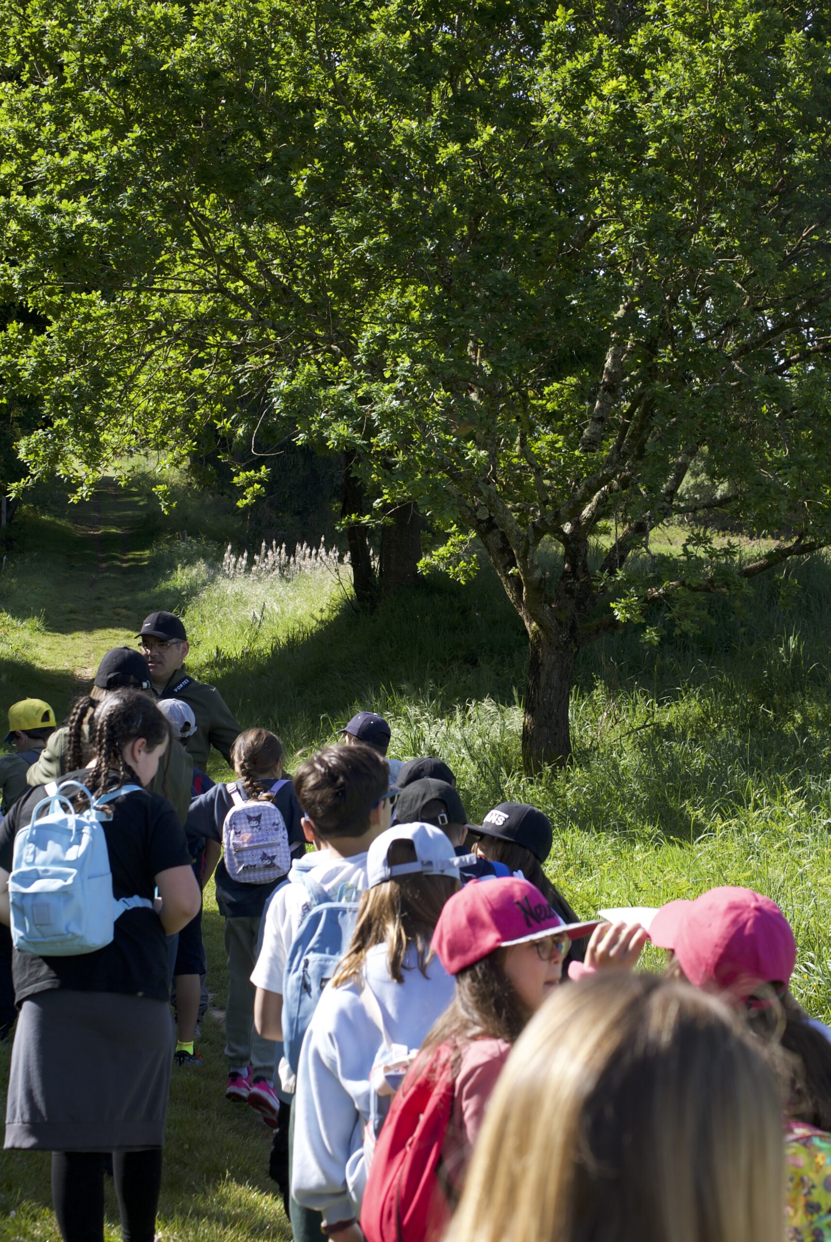 Rutas en la naturaleza