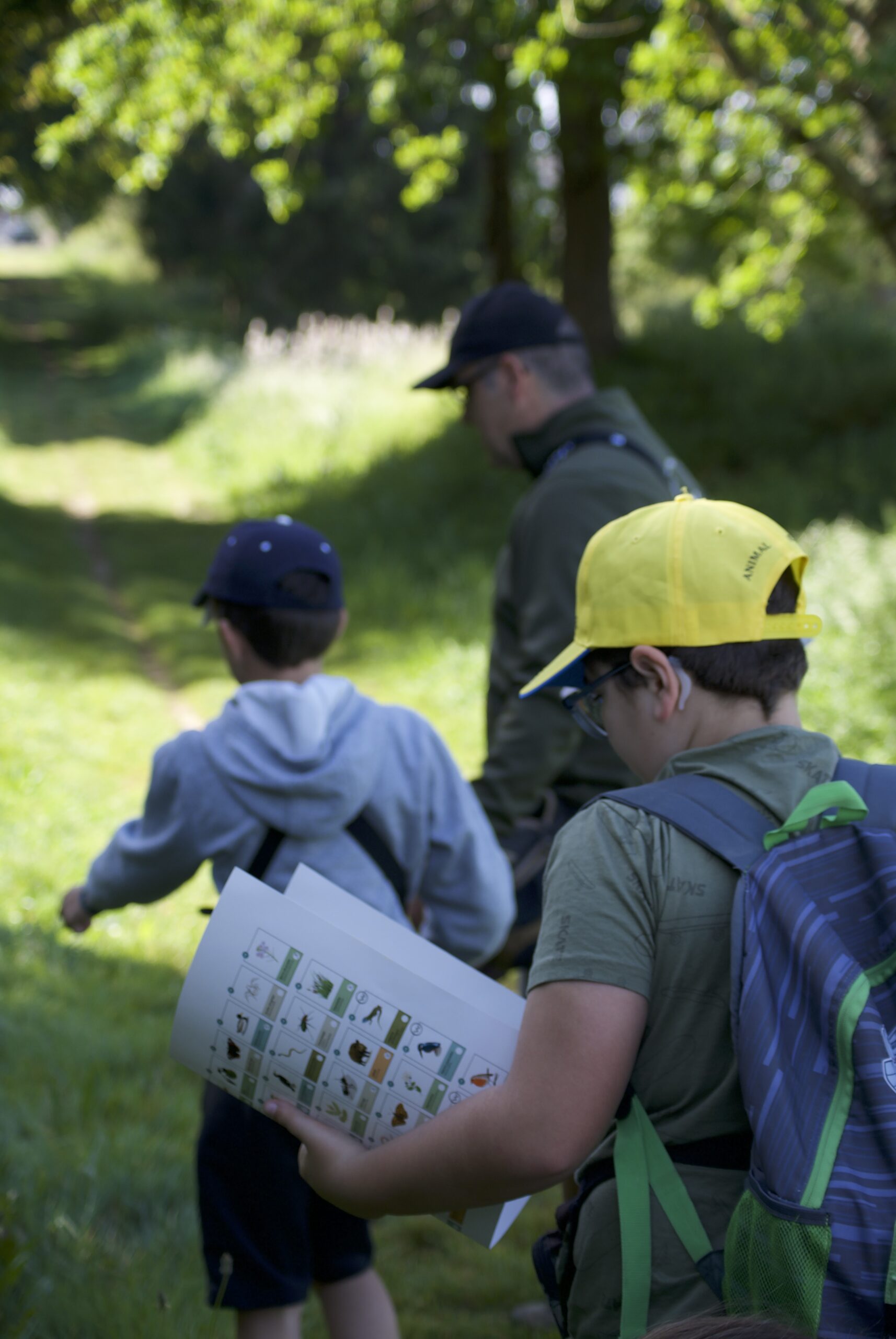 Rutas en la naturaleza