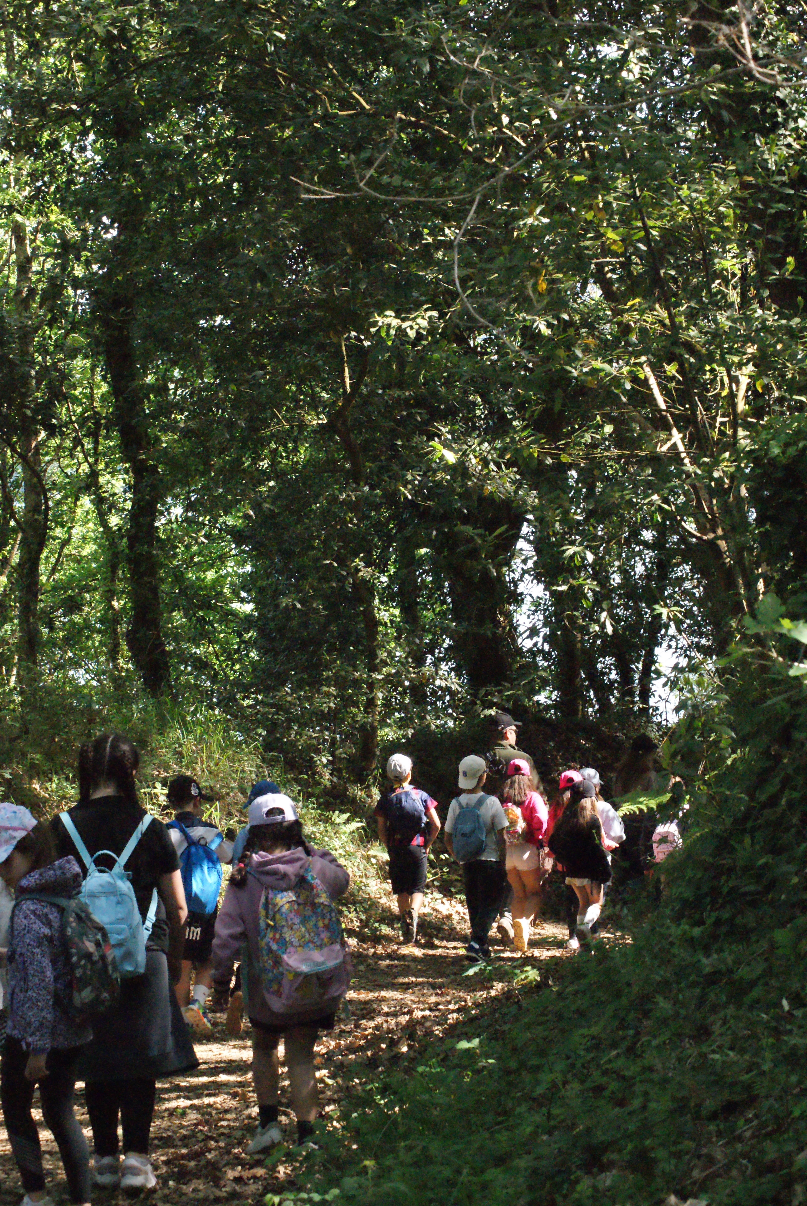 Rutas en la naturaleza