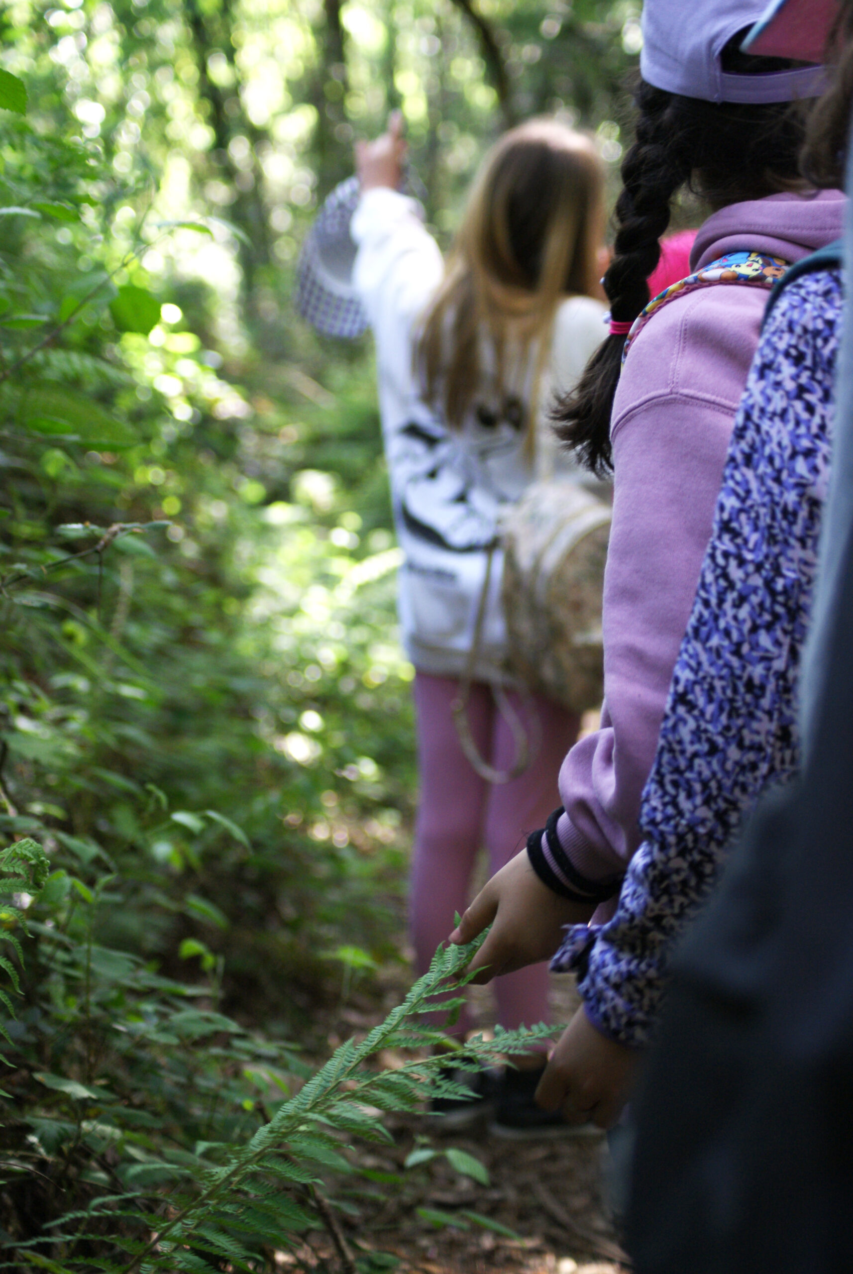 Rutas en la naturaleza