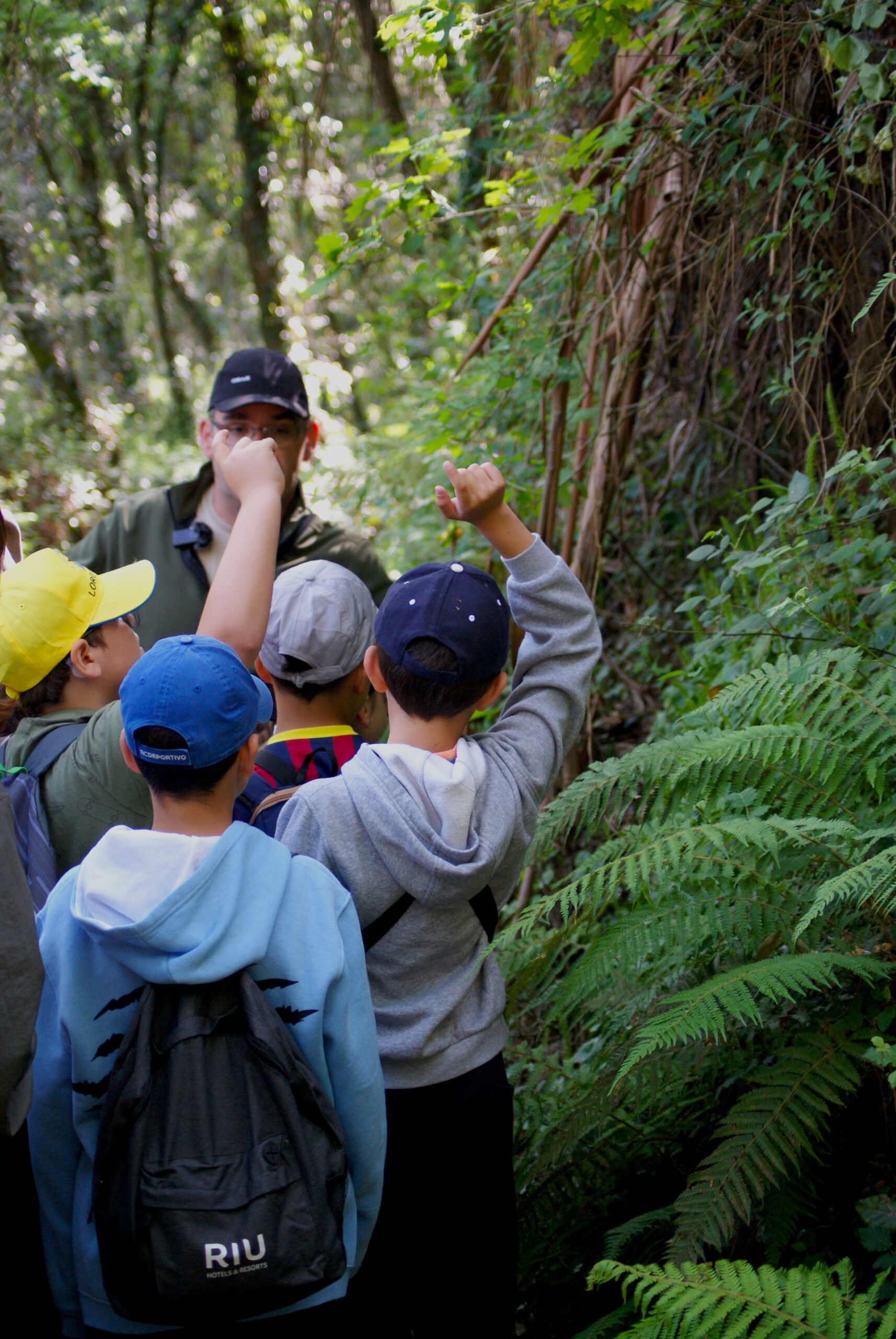 Rutas en la naturaleza