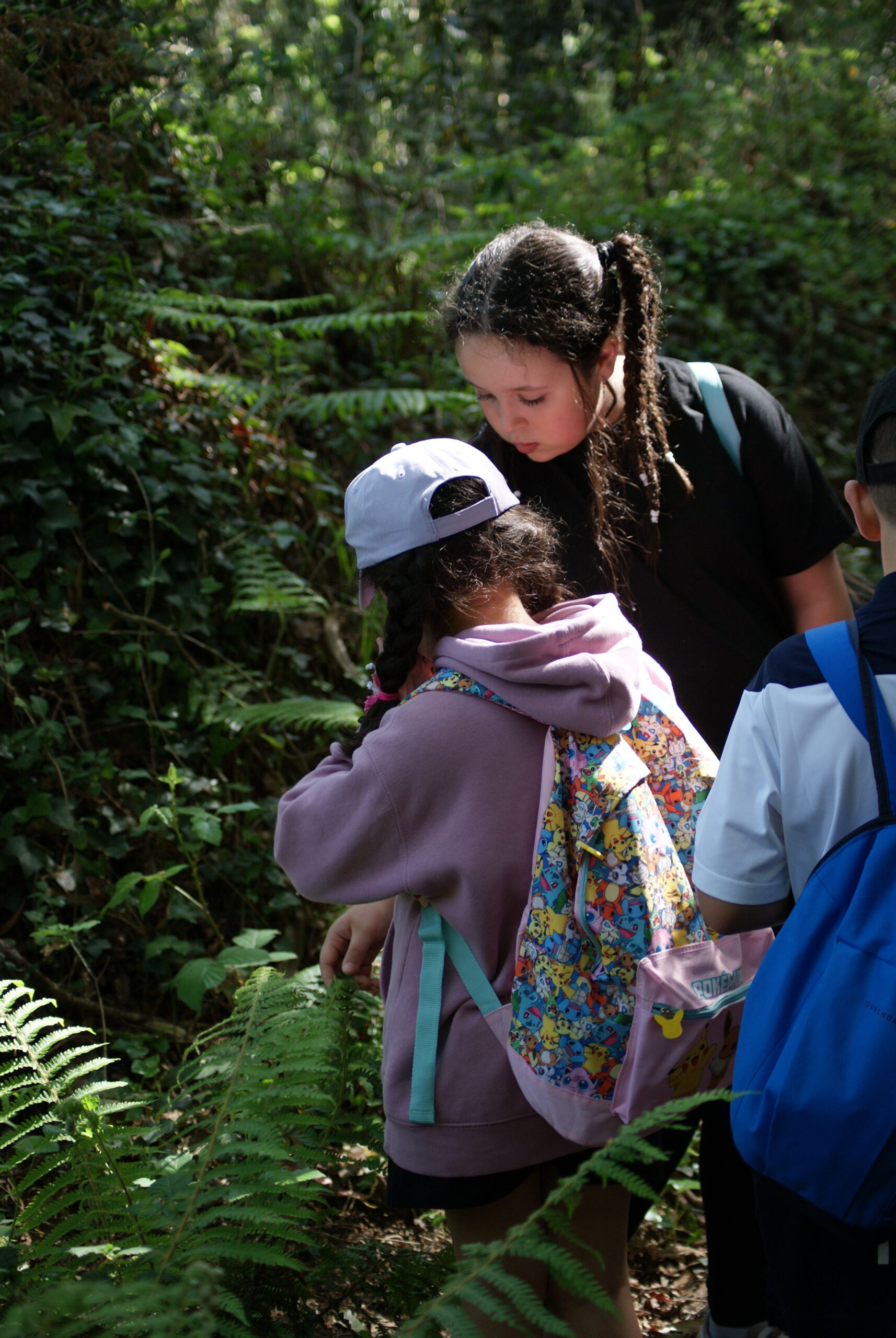 Rutas en la naturaleza